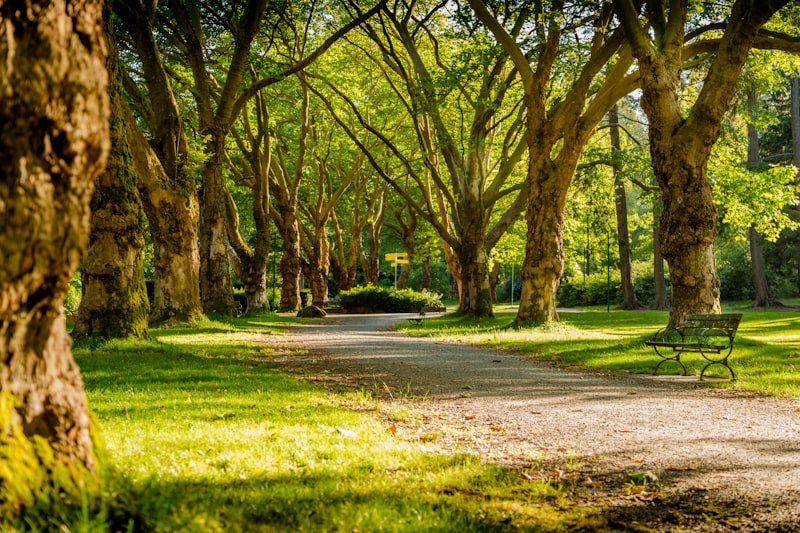Lush Green Parks